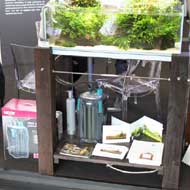 Édesvizi akvárium újdonságok