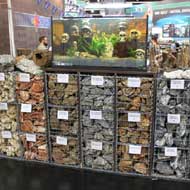 Édesvizi akvárium újdonságok