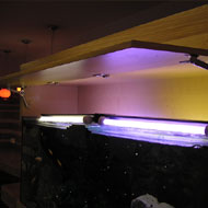 Falba épített akvárium 1. rejtett világítással és karbantartó területtel