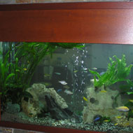 Falba épített akvárium 2. két oldalról látható és kezelhető akvárium